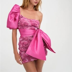 Taya dress by for and Lemons Fuschia taffeta cocktail dress Size Medium New